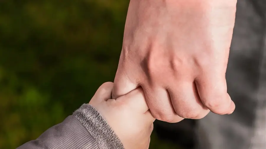 Adult hand holding child's hand, showing trust and connection